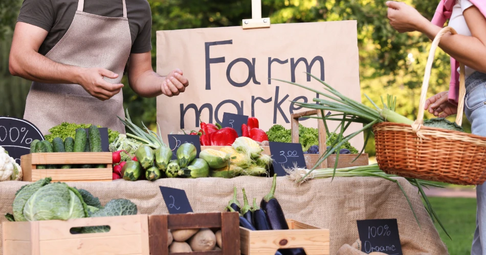 Atascadero Events Guide: Festivals, Fairs & Local Happenings (2026)